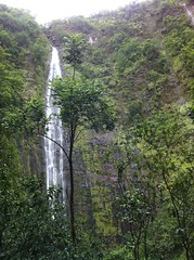 Road to Hana - Pīpīwai Trail - Waimoku Falls