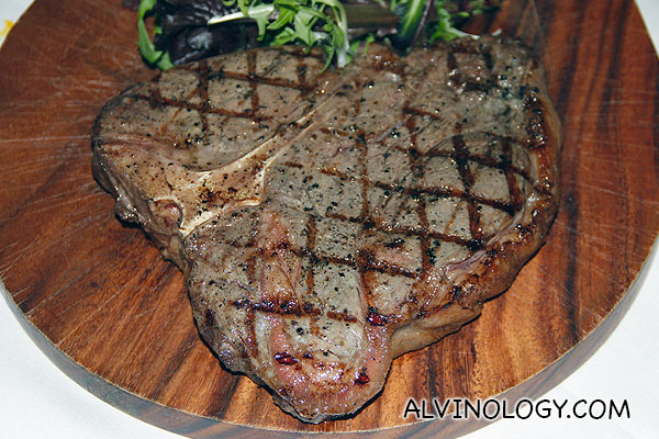 Close-up of the large slab of juicy steak 