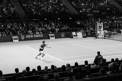 Rotterdam Tennis 2017