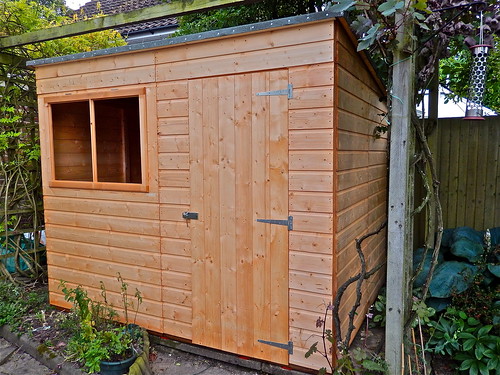 The Shed, Day 4 -Nearly Finished! by Irene's Daily Pics