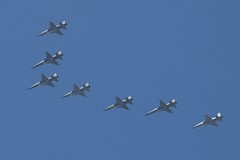 F-5E/F 七機編隊