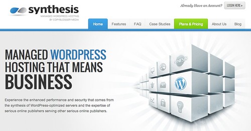 Synthesis web hosting review