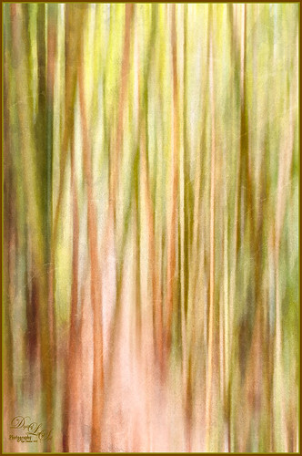 Image of a bamboo forest in Hawaii in abstract art