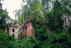 Beelitz Heilstätten Ruine/Alpenhaus