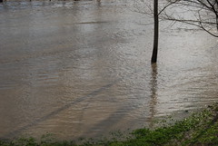 flood in december