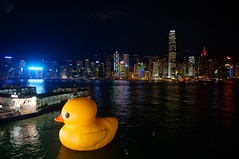 2013 Rubber Duck @ HK