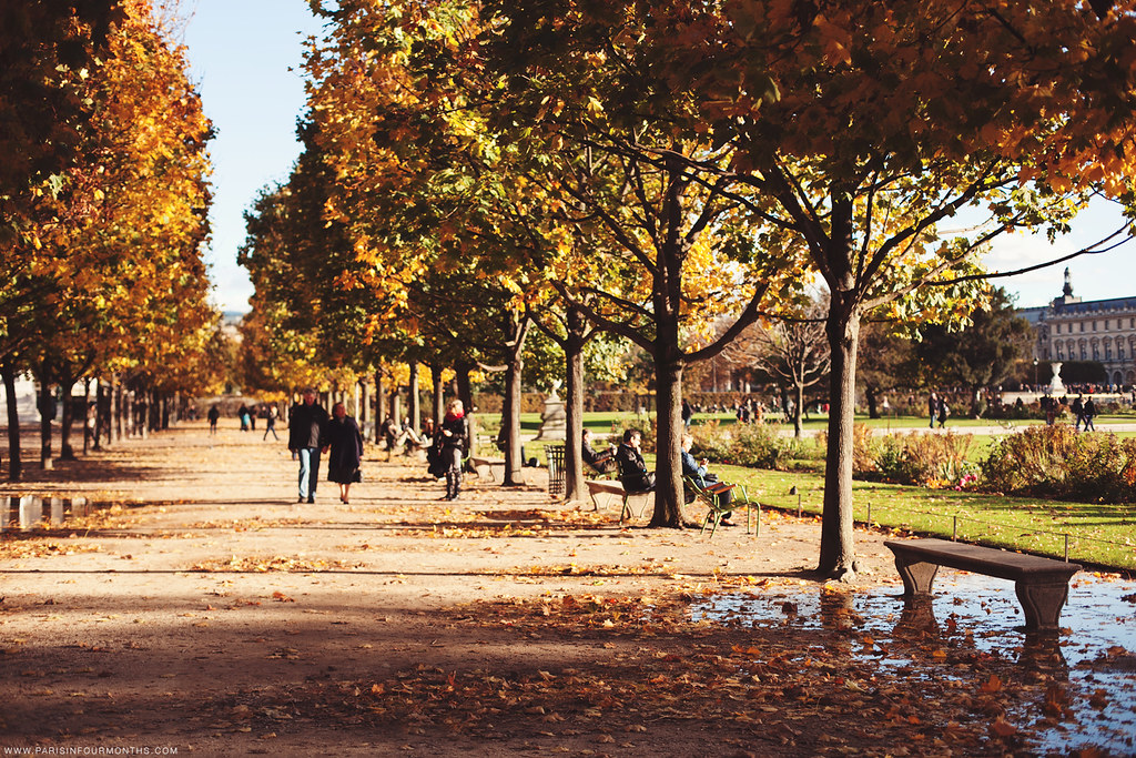 Autumn in Jardin des Tuileries, photo by Carin Olsson of Paris in Four Months