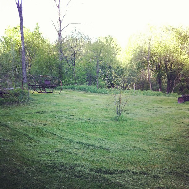 It looks so pretty after a mowing, and I can see the shape of things, and make plans for the farm. #farm #homestead