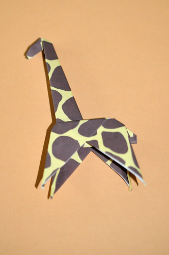 228 - Giraffe