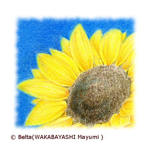 2013_07_25_sunflower_01_s by blue_belta