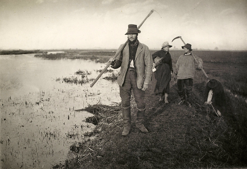 Coming_Home_from_the_Marshes,_Peter_Henry_Emerson,_1886