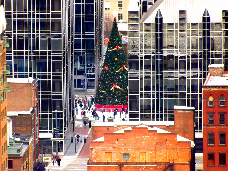 Pittsburgh Christmas Tree