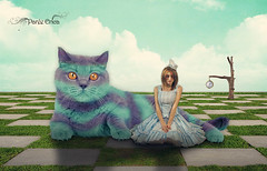 Alice In Wonderland Series