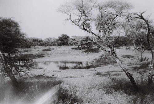 Onguma Reserve