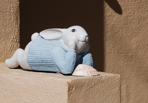 thoughtful rabbit in sweater.jpg