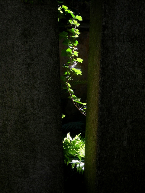 Jüdischer Friedhof Berlin_2013_47