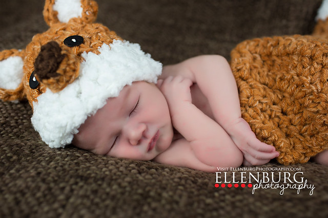 Newborn Boy, Fox hat, Ellenburg Photography, Saraland Alabama, 131028 Susie Fitzharris -61 edit