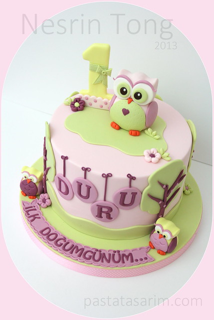 owl first birthday cake duru