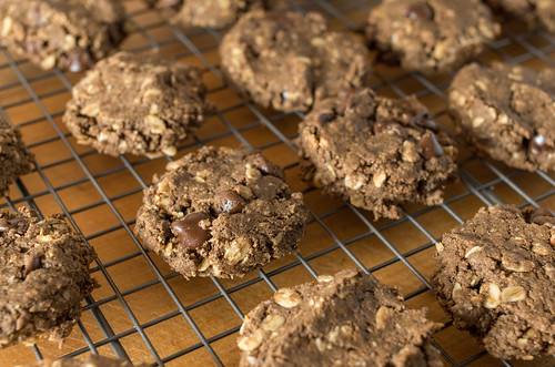 Double chocolate peanut butter oatmeal cookies