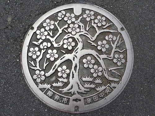 Yanai Yamaguchi, manhole cover (山口県柳井市のマンホール）