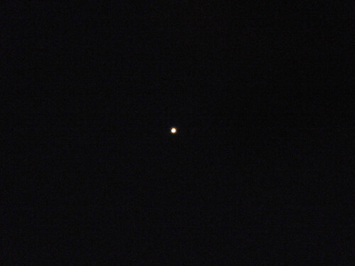 DSCN7586 _ Venus, 5 December 2013