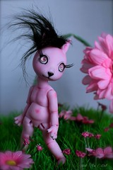 Framboisia - Hujoo Nano pink rabbit