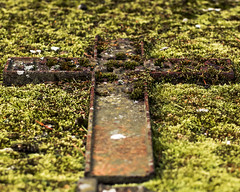 a cross on moss