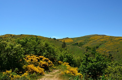 Mont Lozère