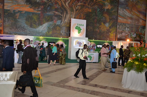 Entrance to Africa Agriculture Science Week