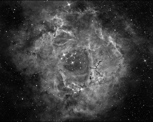 Rosette Nebula by Mick Hyde