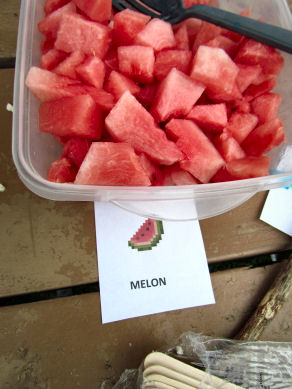 Melon Blocks