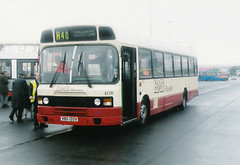 HMB Buses