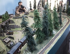 Model Railroads: AMRA2013 Peter Hook