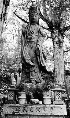 Koya-san in black and white 3 by andreakw