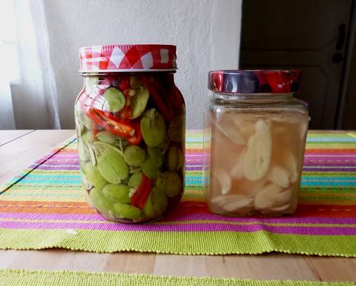 Pickled petai & ginger