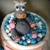 Cute Hippo fondant cake