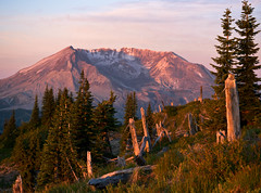 Mt Margaret Wilderness Backpack