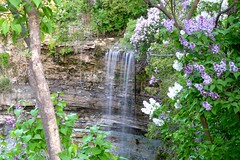 Borer's Creek Waterfalls