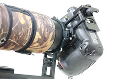 NikonAF-S 600mm  F4 VR 大砲減震環