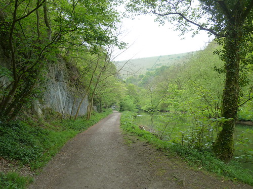 On a walk from Tideswell Dale ~ 6th May 2011.