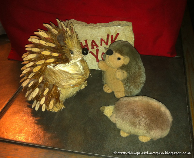 Hedgie and Buttercup Make A Friend