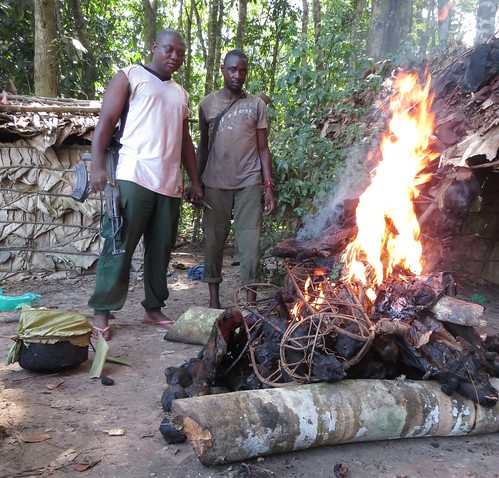 one of two piles of bushmeat burned in poachers camp