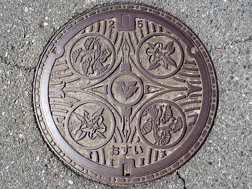 Higashihiroshima Hiroshima, manhole cover (広島県東広島市のマンホール）
