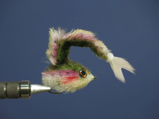 fish spine fly