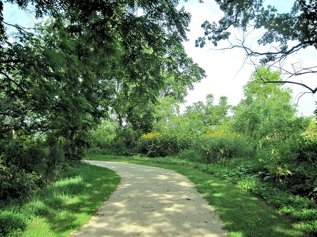Hannaford Woods north entrance path 2-20130826