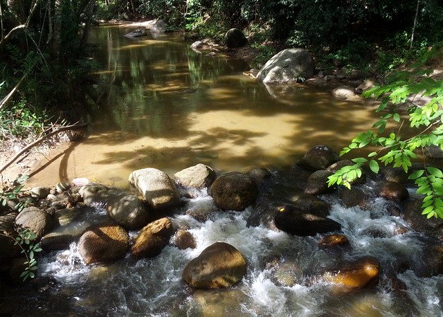 Perting Pandak Waterfall aka Lata Hammers @ Bentong, Pahang - small stream