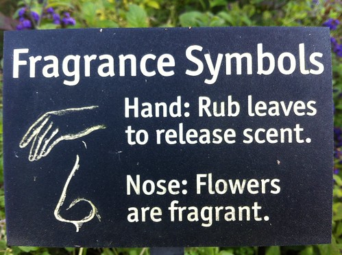 Fragrance Symbols
