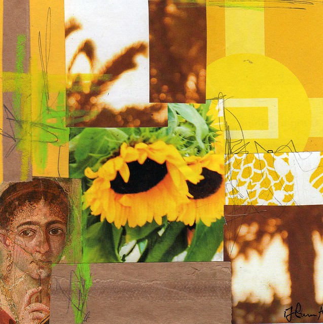 Collage: Sunshine Flowers