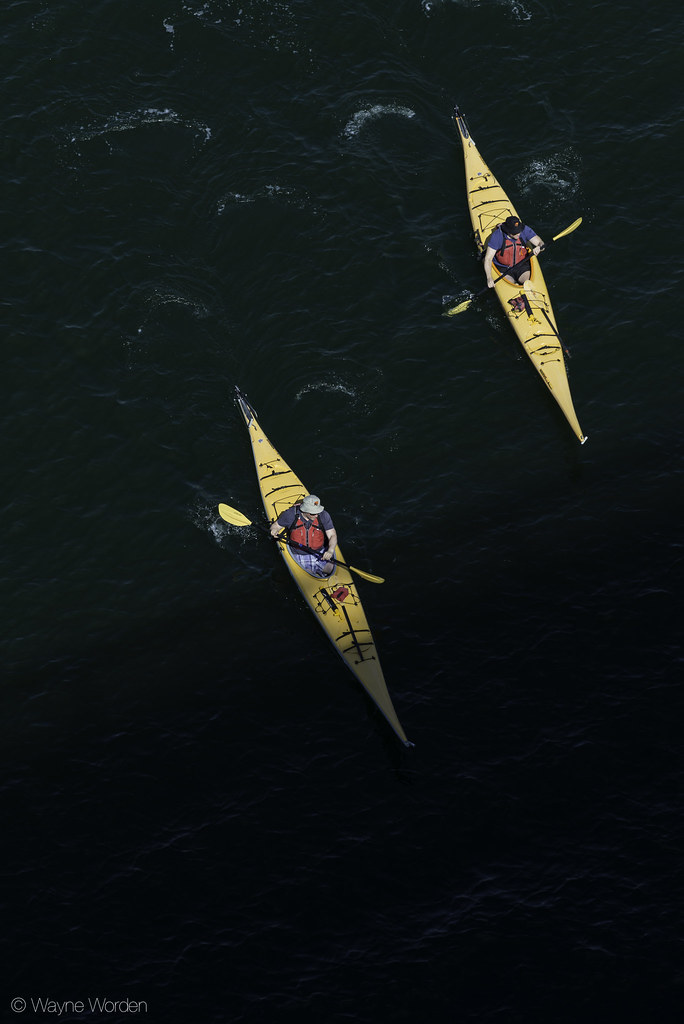 Yellow Kayaks