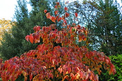 Colours of autumn